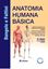 Imagem de ANATOMIA HUMANA BASICA