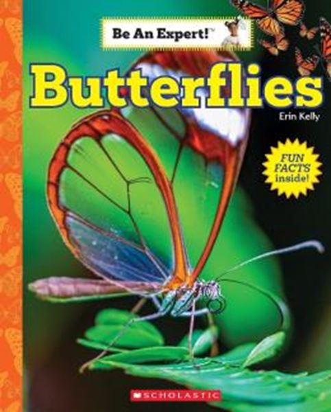 Picture of BUTTERFLIES (BE AN EXPERT!)