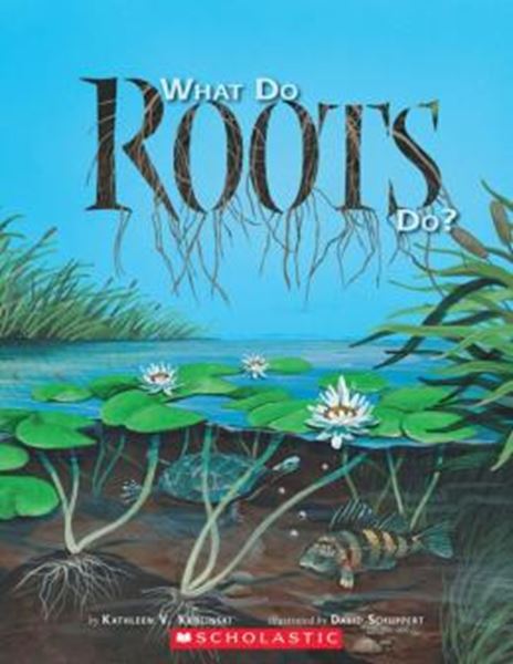 Picture of WHAT DO ROOTS DO? 
