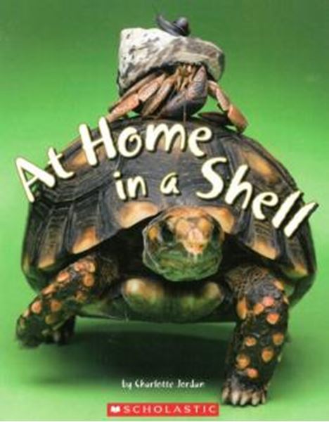 Picture of AT HOME IN A SHELL  