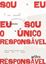 Imagem de EU SOU O UNICO RESPONSAVEL