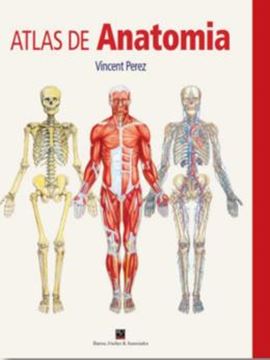 Imagem de ATLAS DE ANATOMIA