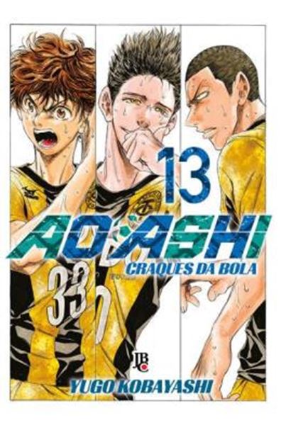 Picture of AO ASHI - VOL. 13