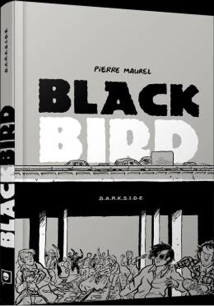 Picture of BLACKBIRD