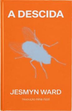 Imagem de A DESCIDA