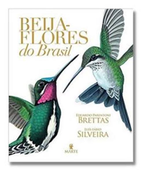 Picture of BEIJA-FLORES DO BRASIL