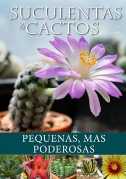 Imagem de SUCULENTAS E CACTOS: PEQUENAS, MAS PODEROSAS