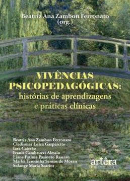 Imagem de VIVENCIAS PSICOPEDAGOGICAS - HISTORIAS DE APRENDIZAGENS E PRATICAS CLINICAS